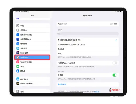 Apple Pencil 如何与 iPad 配对连接？完整步骤教程