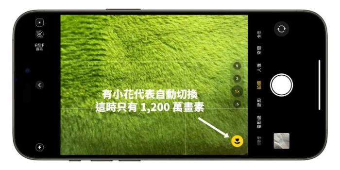 iPhone16Pro的4,800万像素微距摄影技巧,教你拍出高分辨率的细节照片 iPhone16Pro的4,800万像素微距摄影技巧,教你拍出高分辨率的细节照片
